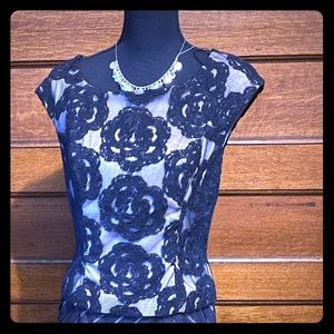 Adrianna Papell Black & Nude mesh sheath dress